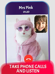 Cat Fake Video Calls and Chat