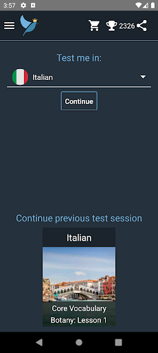 Android application Italian Language Tests screenshort