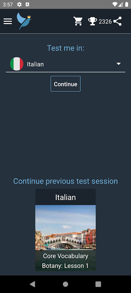 Italian Language Tests Screen 1
