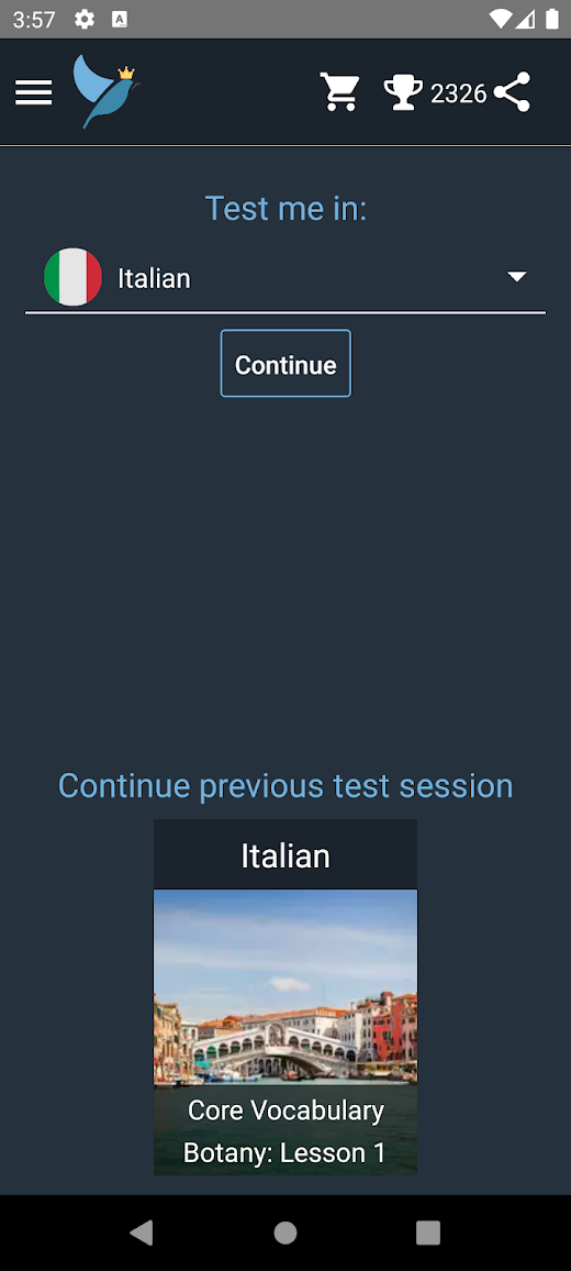 Android application Italian Language Tests screenshot