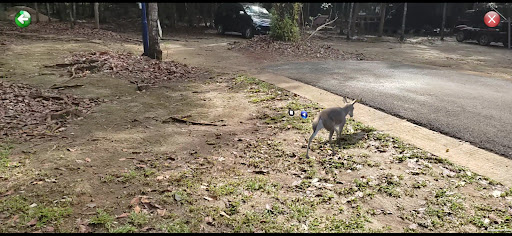 Peramun Hill Guide 3D