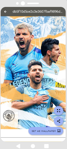 Manchester City HD Wallpapers screenshot 13