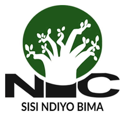 NIC Kiganjani logo