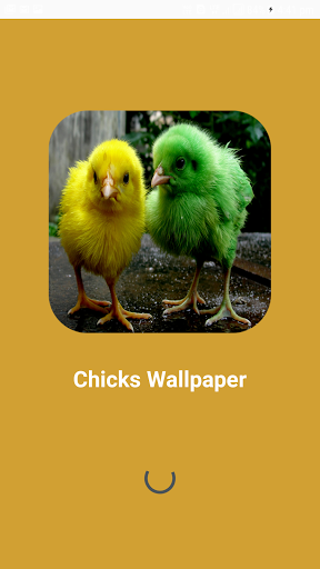 Android application Chicks Wallpapers screenshort