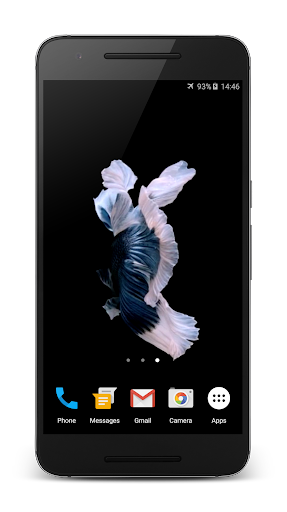 Fish 3D Live Wallpaper Screen 3