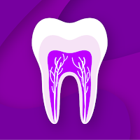PULP – NEET MDS NExT | INICET MDS | Dental Prep