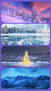 Words of Wisdom: Enjoy Wonders 4