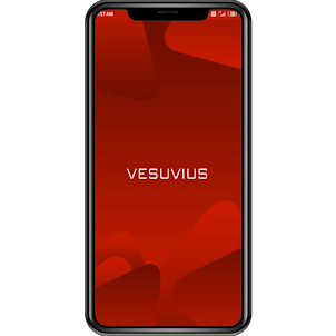 Vesuvius India Ltd.