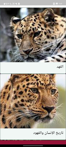 معلومات عن الفهد بدون نت Screen 3