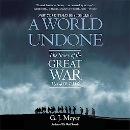 Icon image A World Undone: The Story of the Great War, 1914 to 1918