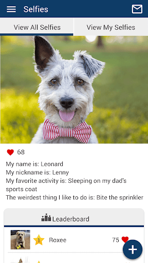 Encino Pet Hospital Screen 2
