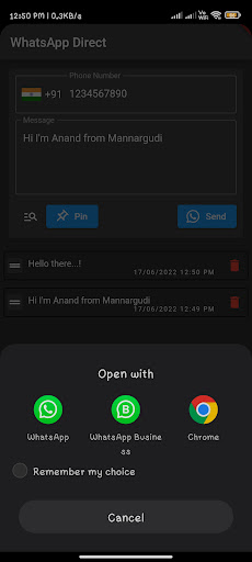 DirectWhats Message Screen 2
