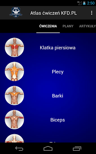Screenshot 17