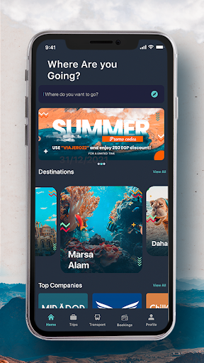 Viajero Screen 2