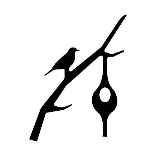 NestView logo