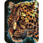 Cover Image of डाउनलोड Panther, live wallpaper. 1.1.1.15 APK