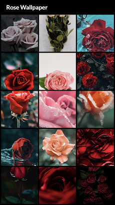 Rose Wallpapersのおすすめ画像2