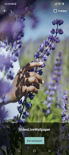 Video As Live Wallpaper screenshot 9