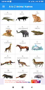 A to Z Animal Names for Kids