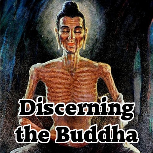 Discerning the Buddha logo