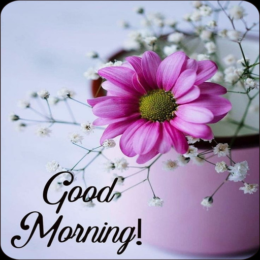 Good Morning Flower Wishes - Apps on Google Play