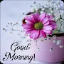 Good Morning Flower Wishes