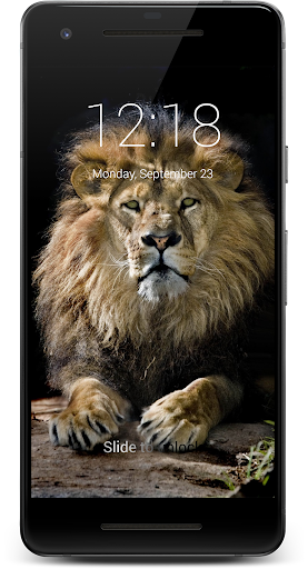 Lion King Of The Hill 4K Lock