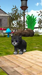 KittyZ your pet cat simulator