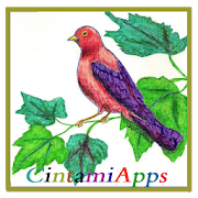 Top 24 Education Apps Like Colored pencil drawing - Best Alternatives