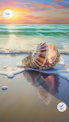 Seashells wallpapers 4K Screen 2