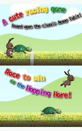 the Tortoise and the Hare Race