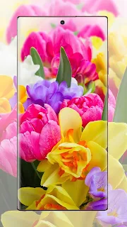 Flower Wallpaper