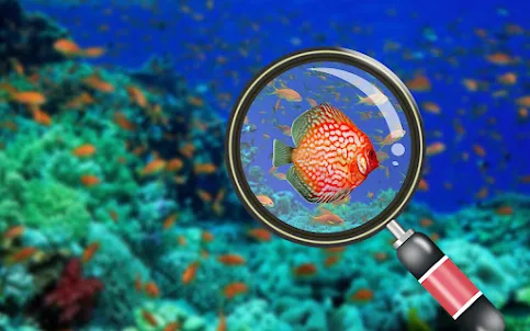 Find it out - hidden fish