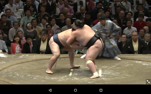 Grand Sumo Screenshot
