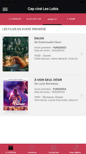 Cap Ciné Les Lobis Screen 2