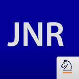 J of Nanoparticle Research icon