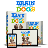 Brain Training For Dogs - Trai