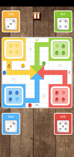 Ludo Smart Screen 3