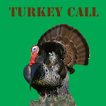 Turkey Call Free Apk