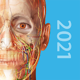 Human Anatomy Atlas 2021: Complete 3D Human Body icon