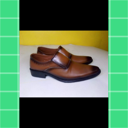 PLShoe logo