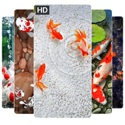 Koi Fish Wallpapers HD 4K, Koi - Apps on Google Play
