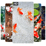 Koi Fish Wallpapers HD 4K, Koi Fish Wallpapers HD