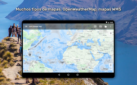 Imagen de la captura de pantalla
