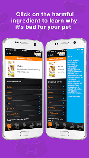 Safe Pet Treats Cat and Dog Food