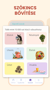 Képernyőkép