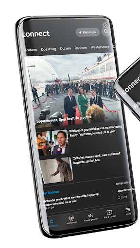 Vista previa de la aplicación