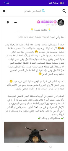 عرب شات  تعارف و دردشة عجب