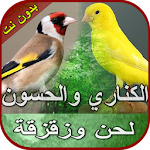 Cover Image of Download صوت الكناري والحسون بدون نت  APK