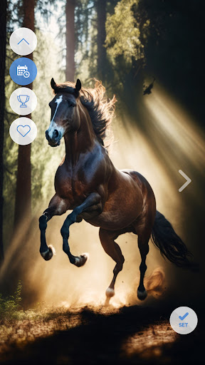 Android application Horses Cool Wallpapers screenshort